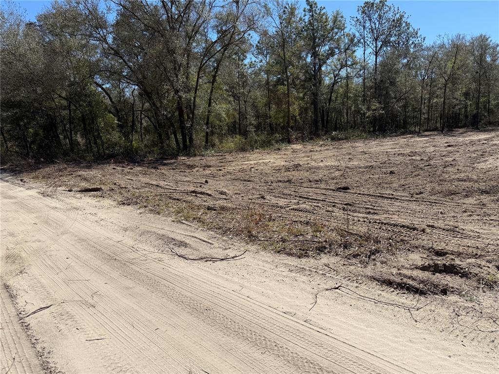 0000 NE 82ND PLACE, BRONSON, FL — photo 3 of 4