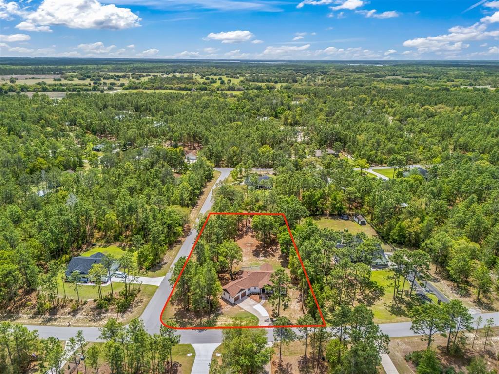 An aerial view shows a single-story house situated on a wooded lot with red outlines — 2187 COUNTY ROAD 243C, WILDWOOD, FL