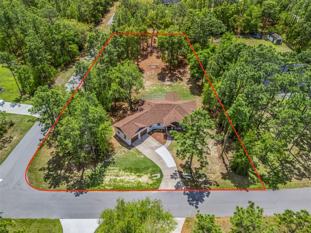An aerial view of a house on a large, wooded lot outlined in red — 2187 COUNTY ROAD 243C, WILDWOOD, FL