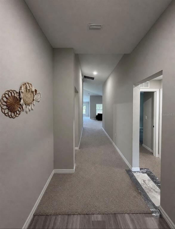 A long hallway with gray walls, carpeted flooring, and wall-mounted decorative woven baskets — 5480 SILTSTONE STREET, LAKELAND, FL