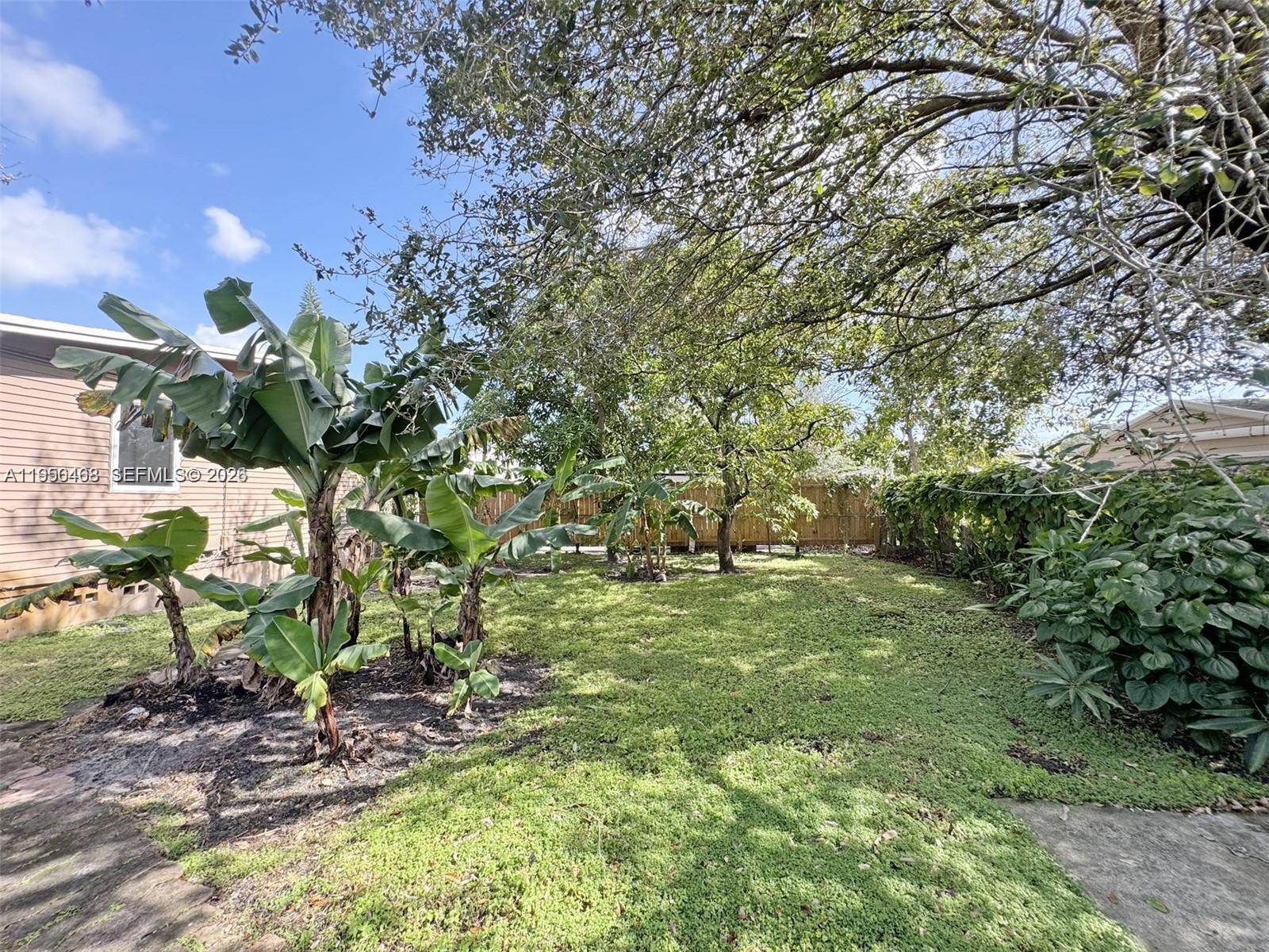 A backyard features a grassy lawn, banana plants, and mature trees near a house exterior — 2982 NW 95th St, Miami FL 33147, MIAMI, FL