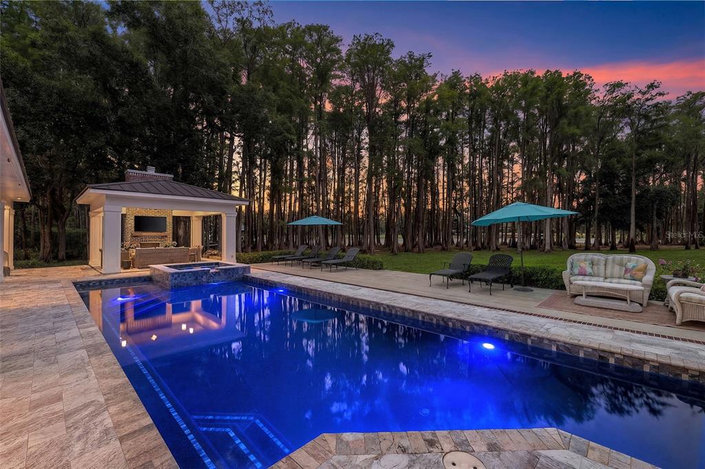 A backyard swimming pool with a spa and covered patio area overlooks a wooded landscape — 18562 COUNCIL CREST DRIVE, ODESSA, FL