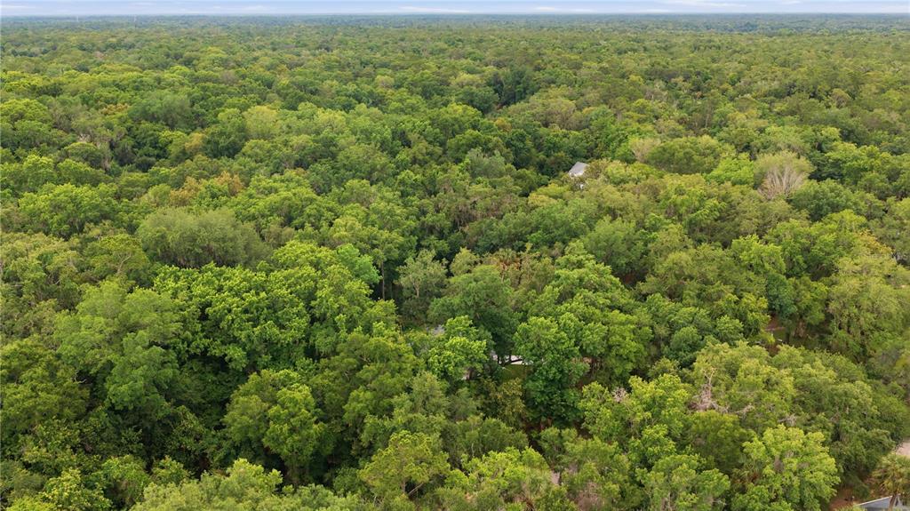 An aerial view shows a house nestled within a dense forest of mature green trees — 21 RIVER TRAIL DRIVE, INGLIS, FL
