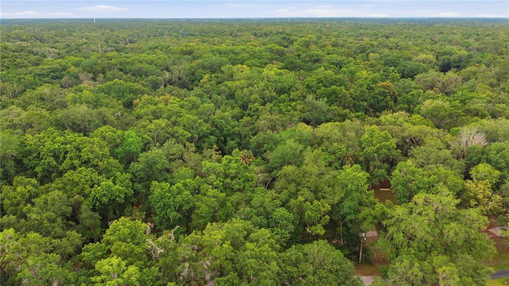 An aerial view shows a dense forest canopy covering a large, undeveloped plot of land — 21 RIVER TRAIL DRIVE, INGLIS, FL