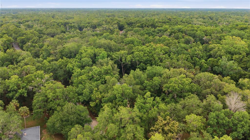 An aerial view shows a dense forest canopy with a small portion of a roof visible — 21 RIVER TRAIL DRIVE, INGLIS, FL