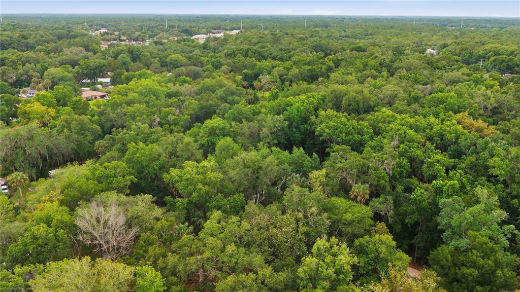 An aerial view shows a dense, wooded area with scattered houses visible in the distance — 21 RIVER TRAIL DRIVE, INGLIS, FL