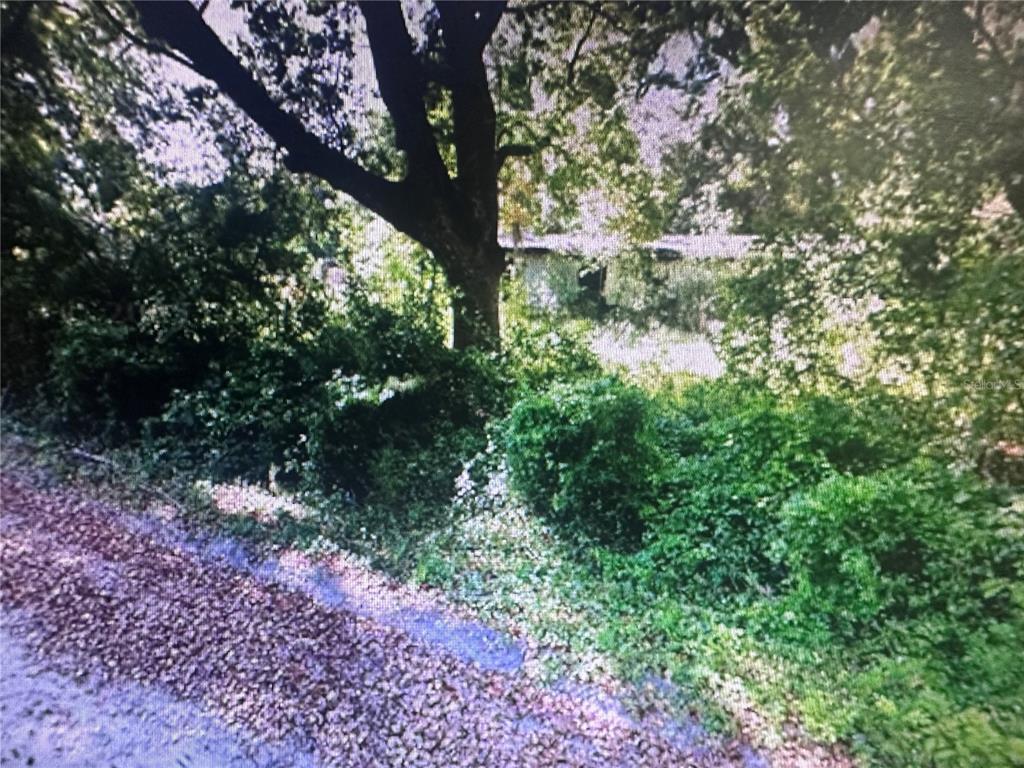A large tree stands in front of a house obscured by dense, overgrown vegetation — 4289 SE 20TH STREET, TRENTON, FL