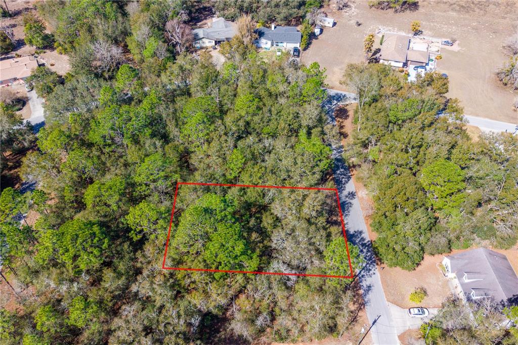 An aerial view shows a rectangular plot of land outlined in red amidst wooded surroundings — TBD NE 2ND ST, LOT 10, WILLISTON, FL