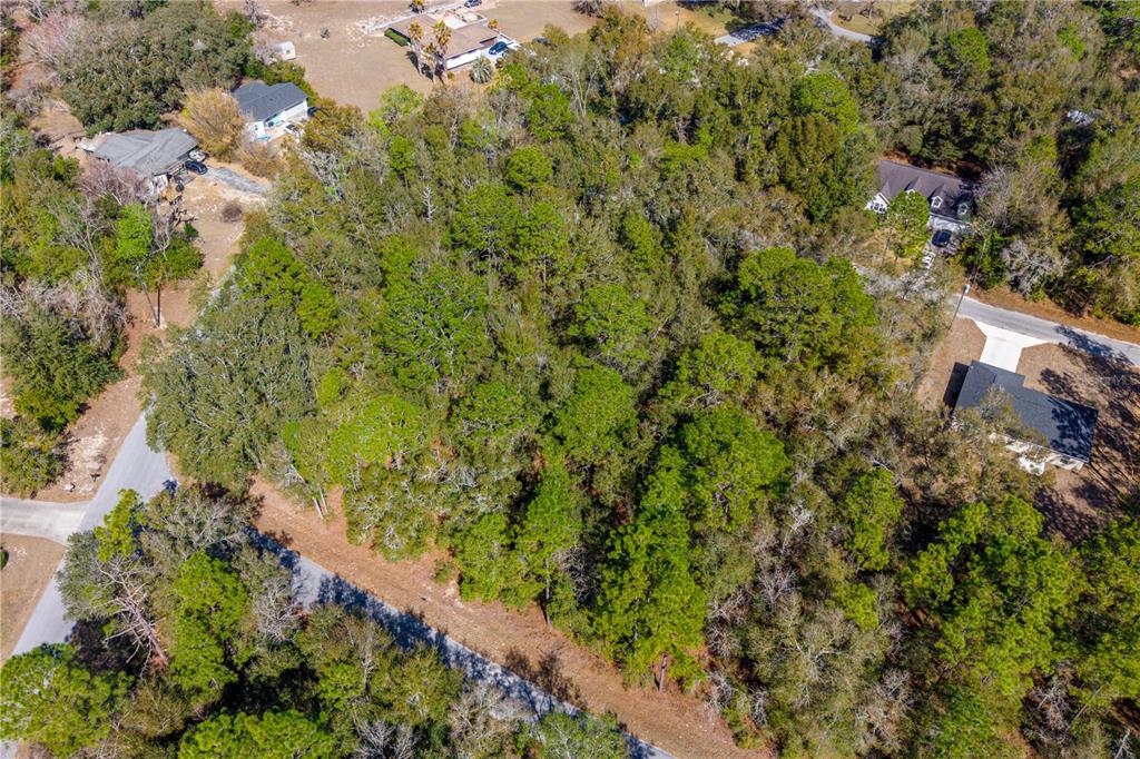 An aerial view shows a wooded, undeveloped residential lot surrounded by houses and paved roads — TBD NE 2ND ST, LOT 10, WILLISTON, FL