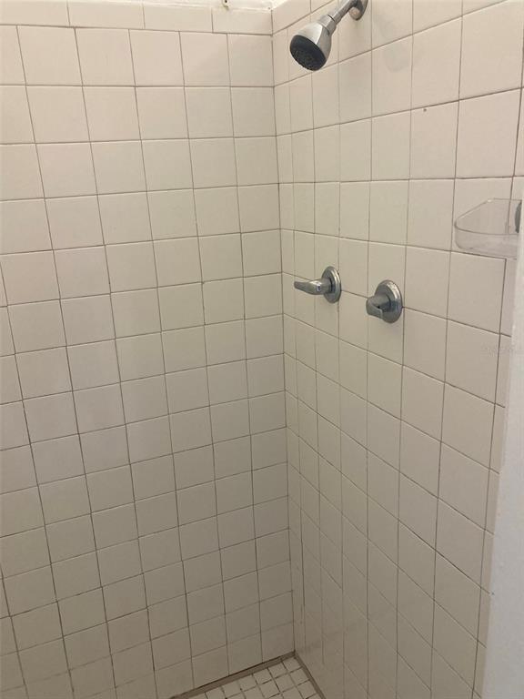 A shower stall with white square wall tiles, a chrome showerhead, and two faucet handles — 1401 E ALFRED STREET UNIT 3, TAVARES, FL