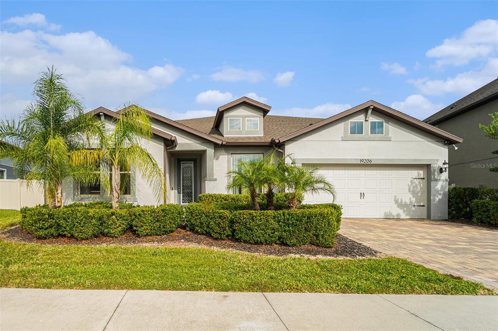 A single-story house with a two-car garage, palm trees, and a manicured hedge — 19206 BRIARBROOK DRIVE, TAMPA, FL