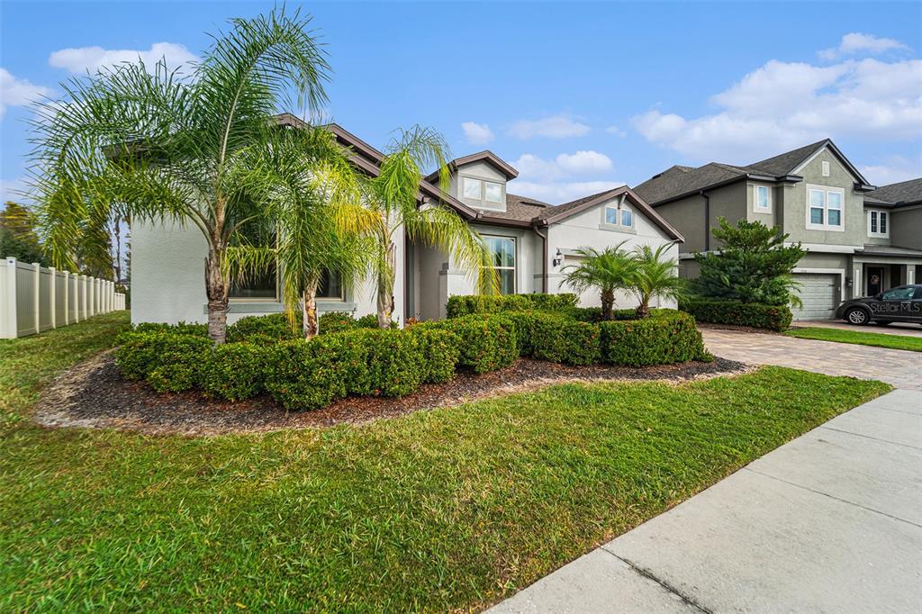 A single-story house with a palm tree, manicured hedges, and a paved driveway — 19206 BRIARBROOK DRIVE, TAMPA, FL