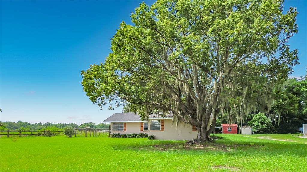A single-story house with a large, moss-draped oak tree in the front yard — 11900 SE SUNSET HARBOR ROAD, WEIRSDALE, FL