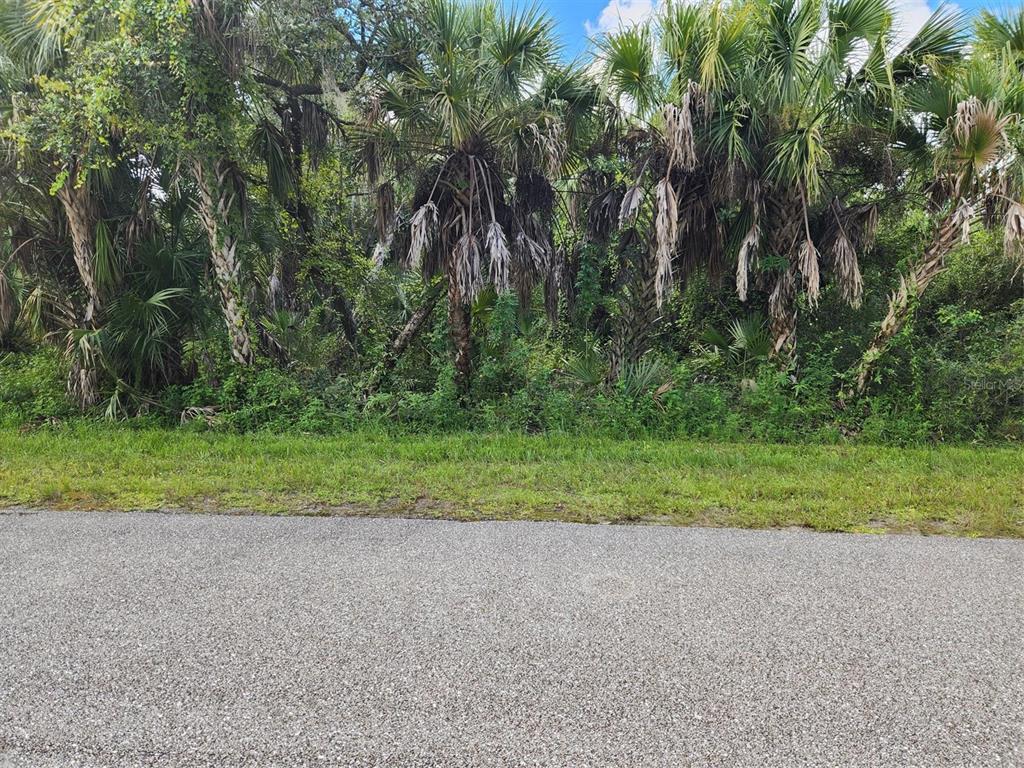 A paved road runs in front of a dense, wooded lot filled with palm trees — 16227 ORRICK AVENUE, PORT CHARLOTTE, FL