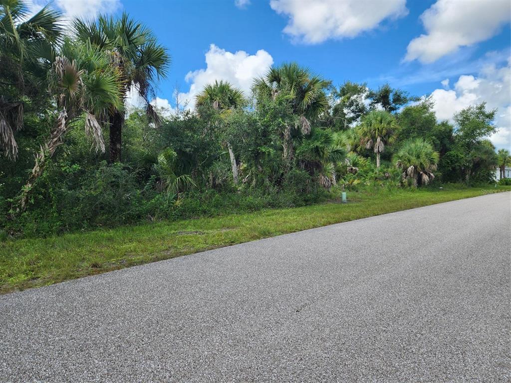 A paved road runs alongside a vacant, wooded lot filled with various palm trees and vegetation — 16227 ORRICK AVENUE, PORT CHARLOTTE, FL