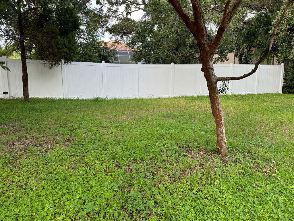 A grassy backyard features a white vinyl privacy fence and several mature trees — 3115 W SAN PEDRO STREET, TAMPA, FL