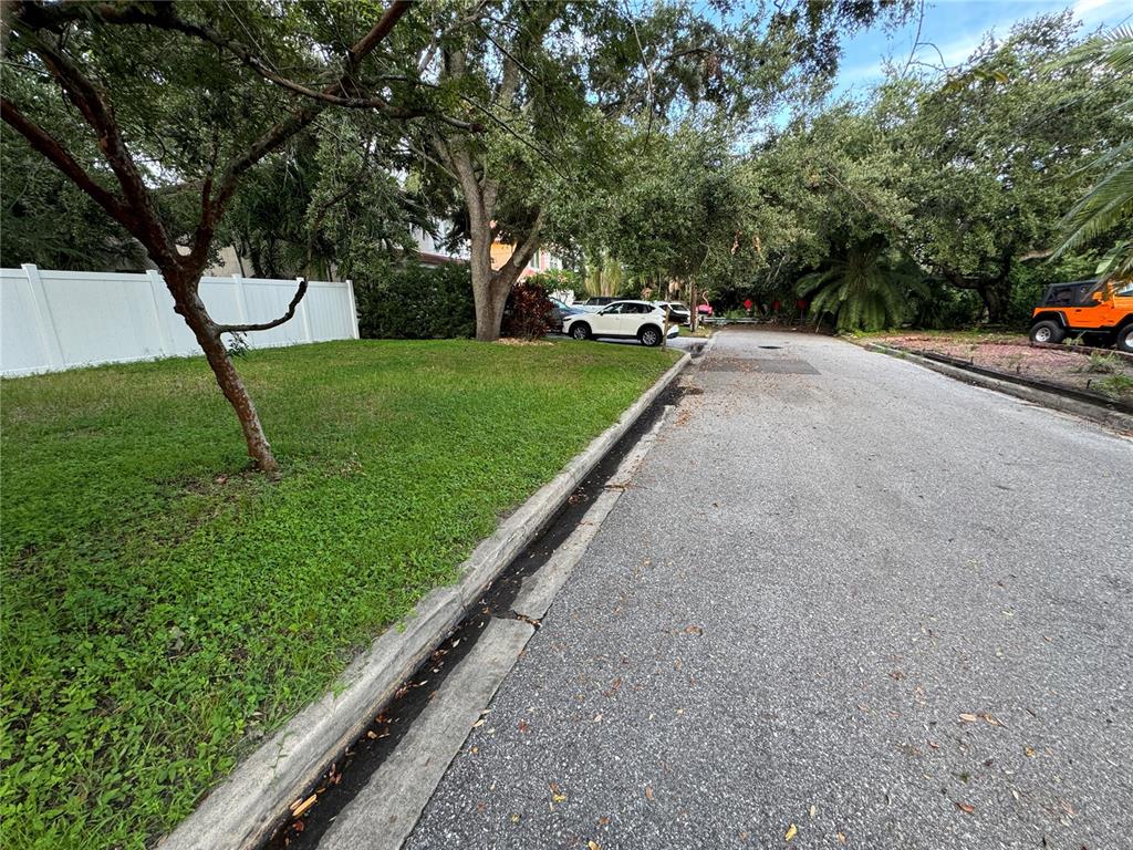 A grassy yard sits beside a paved street with a concrete curb and gutter — 3115 W SAN PEDRO STREET, TAMPA, FL