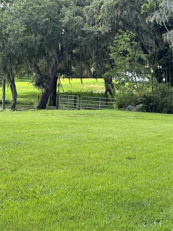 30400 HILLSIDE LANE, WESLEY CHAPEL, FL — photo 3 of 13