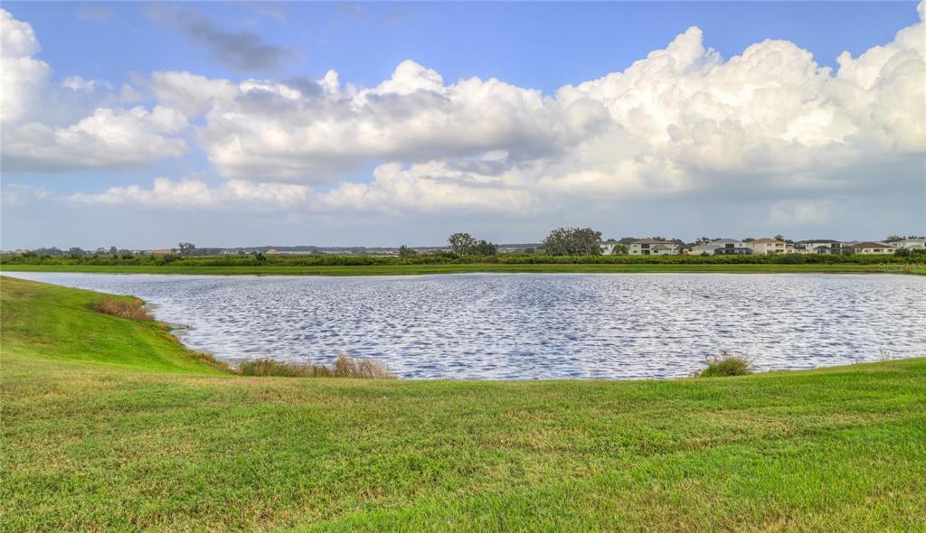 A grassy lawn slopes down to a pond with houses visible in the distant background — 8694 PARSONS HILL BOULEVARD, WESLEY CHAPEL, FL