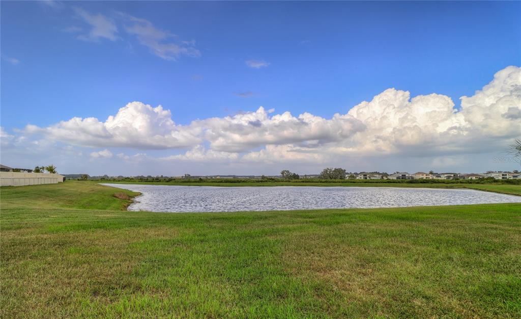 A grassy lawn leads to a pond under a blue sky with large white clouds — 8694 PARSONS HILL BOULEVARD, WESLEY CHAPEL, FL