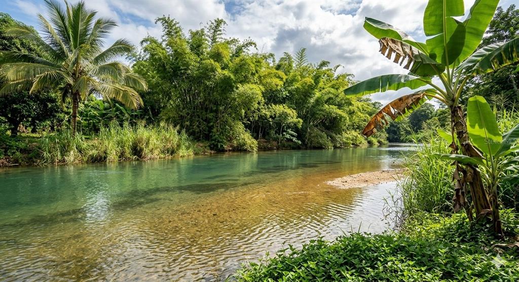 A clear river flows past a lush, green riverbank with palm trees and bamboo — 119 CARR 119 BO POZAS, SAN SEBASTIAN, PR