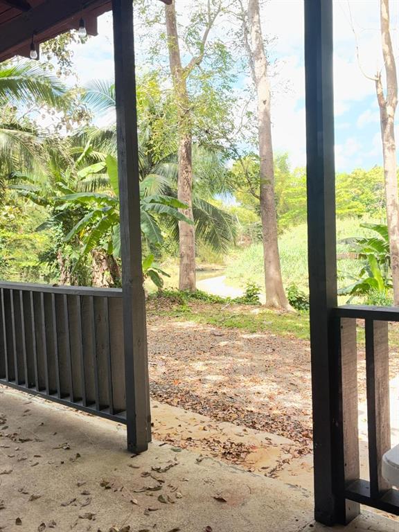 A view from a covered porch looking out toward trees and a small stream — 119 CARR 119 BO POZAS, SAN SEBASTIAN, PR