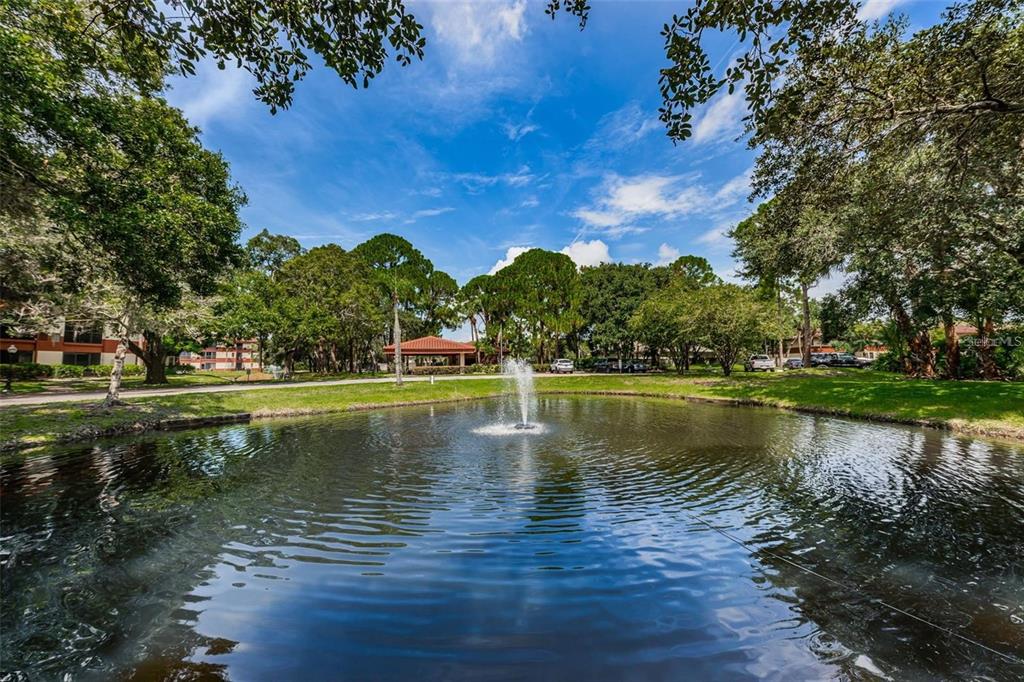 A pond with a central fountain sits in front of trees and a building exterior — 2650 COUNTRYSIDE BOULEVARD UNIT F110, CLEARWATER, FL