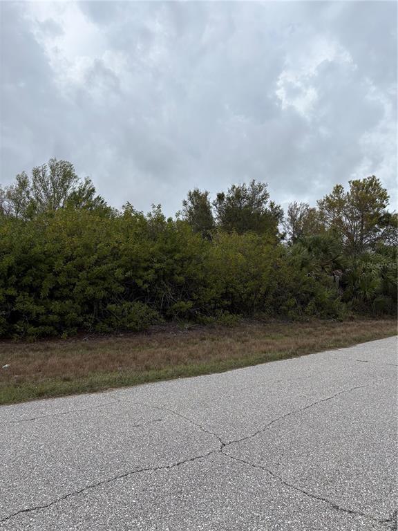 A paved road runs alongside a vacant lot covered in dense trees and brush — 7513 TREADWAY ROAD, PORT CHARLOTTE, FL