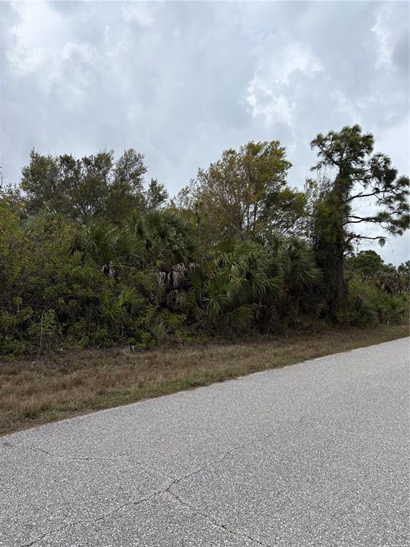 A paved road runs alongside a dense, wooded lot with palm trees and native vegetation — 7513 TREADWAY ROAD, PORT CHARLOTTE, FL