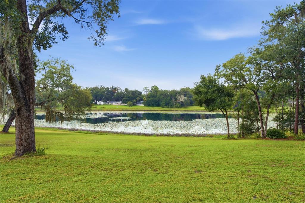 38700 LAKEVIEW DRIVE, LADY LAKE, FL — photo 3 of 30