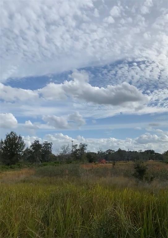 A view of a grassy, undeveloped lot with scattered trees under a cloudy sky — 0 ALLISON AVENUE, LAKE WALES, FL