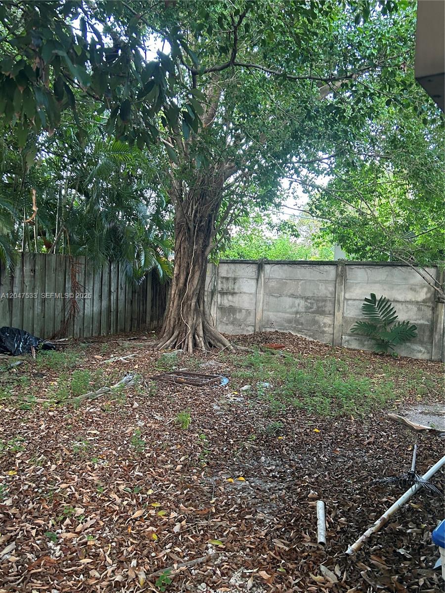 A large tree with exposed roots stands in a yard enclosed by concrete walls — 257 W 45th St # 2, Hialeah FL 33012, HIALEAH, FL