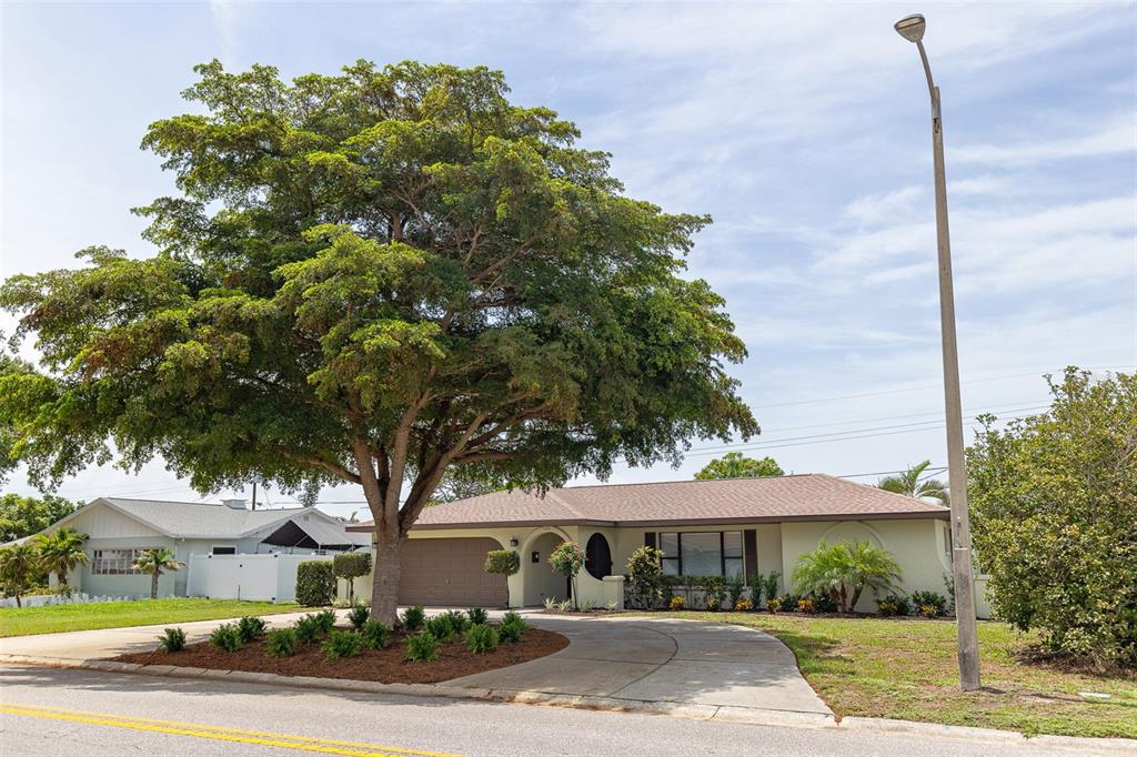 A single-story house with a large tree in the front yard and a curved driveway — 4005 17TH AVENUE W, BRADENTON, FL