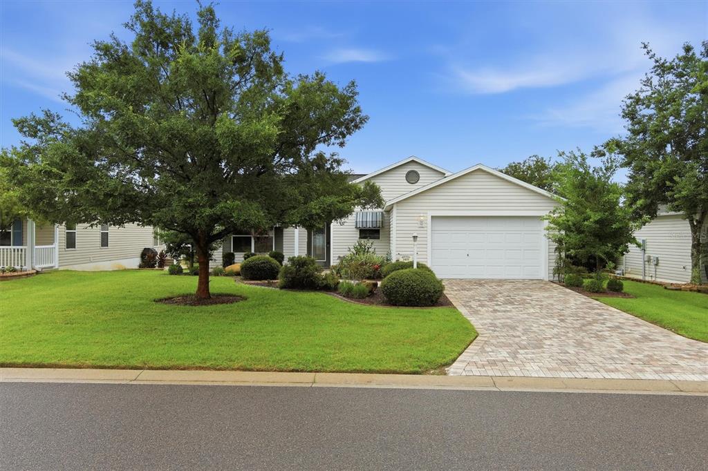 A single-story house with light siding, a paved driveway, and a large tree in front — 2435 POMEROY TERRACE, THE VILLAGES, FL