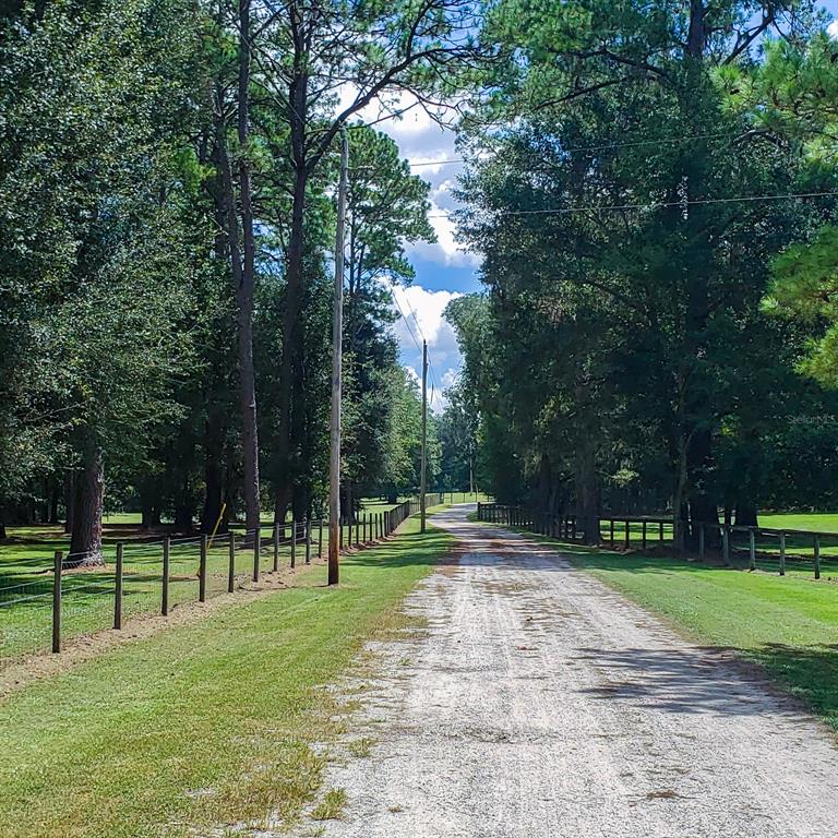 NW 115TH AVENUE, REDDICK, FL — photo 2 of 10