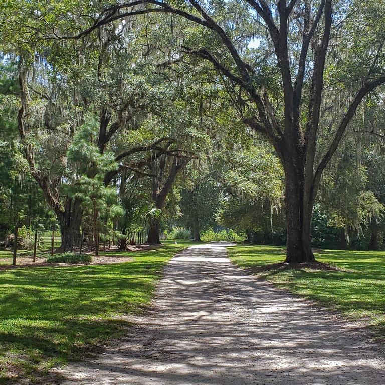 NW 115TH AVENUE, REDDICK, FL — photo 3 of 10