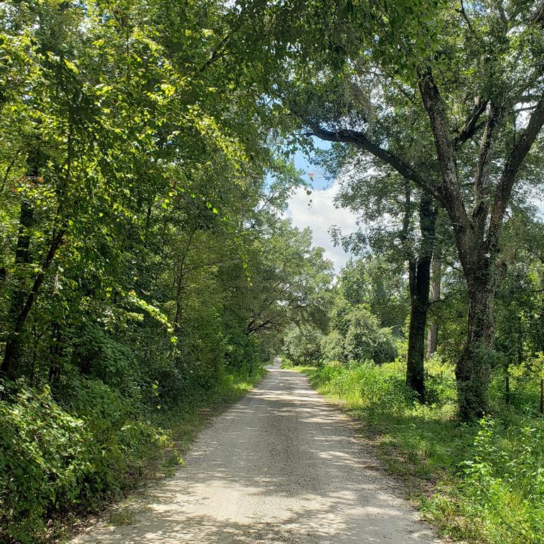 NW 115TH AVENUE, REDDICK, FL — photo 4 of 10