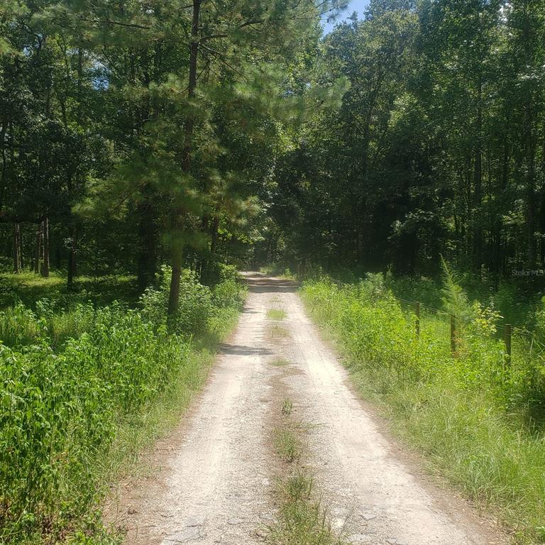 NW 115TH AVENUE, REDDICK, FL — photo 5 of 10