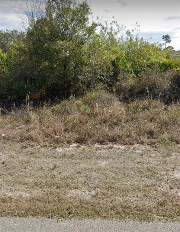 A vacant, overgrown lot with sandy soil, low shrubs, and scattered trees under a cloudy sky — 2507 33RD STREET SW, LEHIGH ACRES, FL