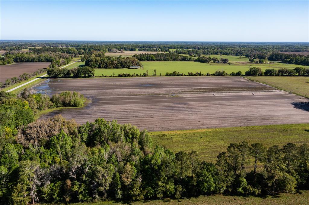 An aerial view shows a large, flat, tilled agricultural field bordered by trees and pastures — 24103 NW COUNTY ROAD 239, ALACHUA, FL