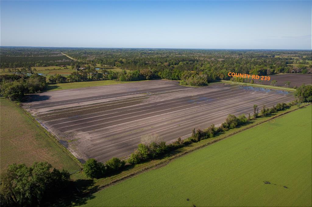 An aerial view shows a large, tilled agricultural field bordered by trees and a road — 24103 NW COUNTY ROAD 239, ALACHUA, FL