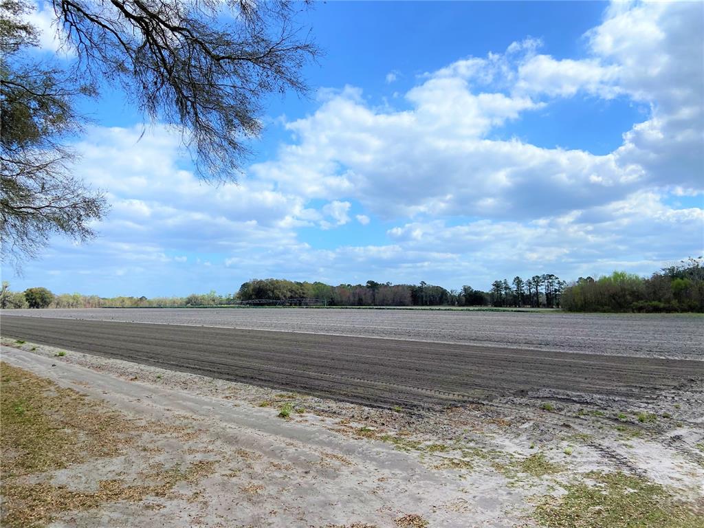 A large, tilled agricultural field stretches toward a distant tree line under a cloudy sky — 24103 NW COUNTY ROAD 239, ALACHUA, FL