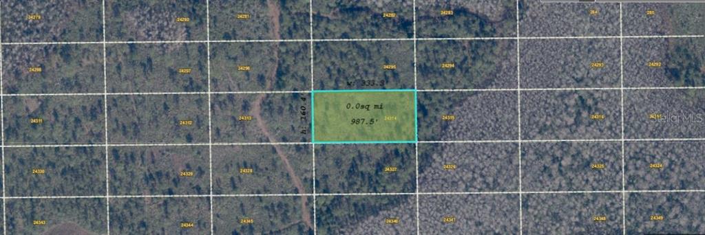 This is an aerial map showing a highlighted rectangular plot of land — DILL ROAD, ORLANDO, FL