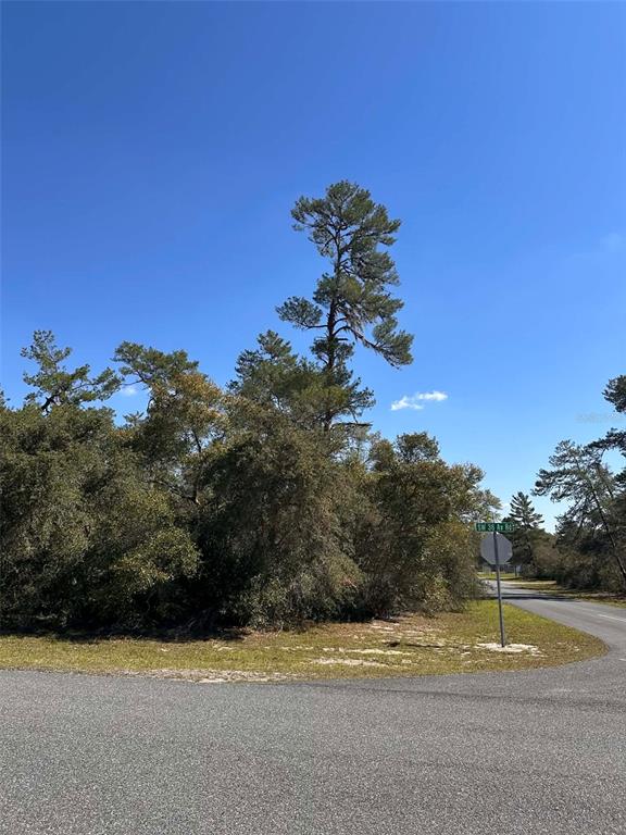 0 SW 36TH AVE. RD, OCALA, FL — photo 5 of 8