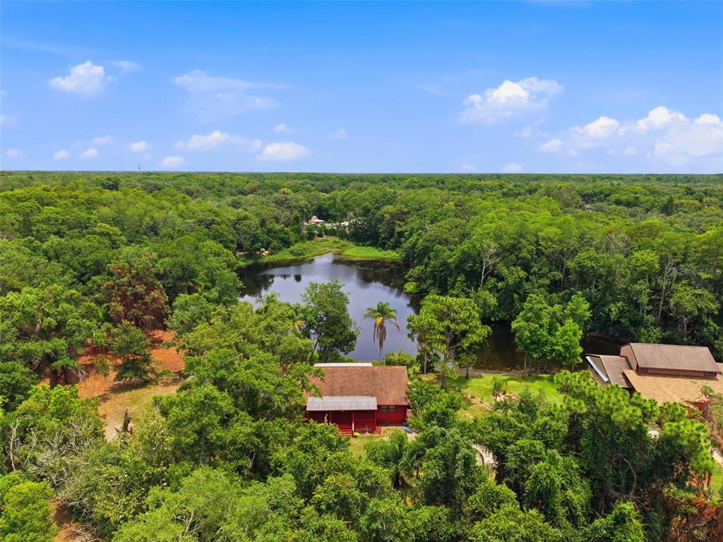 An aerial view shows a red house and a brown building beside a wooded pond — 6409 CHISWICK COURT, NEW PORT RICHEY, FL
