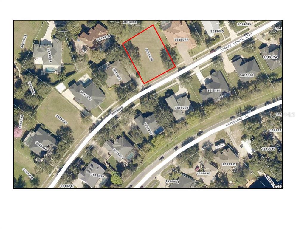 OSPREY POINTE BOULEVARD, CLERMONT, FL — photo 3 of 3