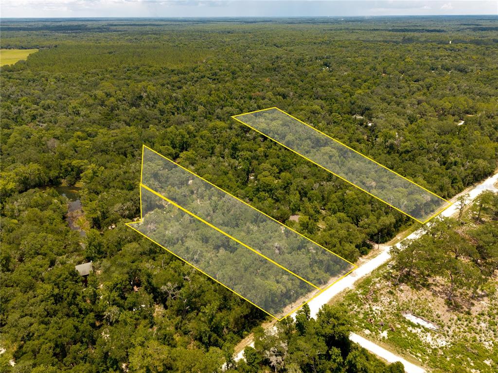 An aerial view shows two adjacent wooded lots outlined in yellow along a dirt road — 7333 RIVERVIEW DRIVE, WEBSTER, FL