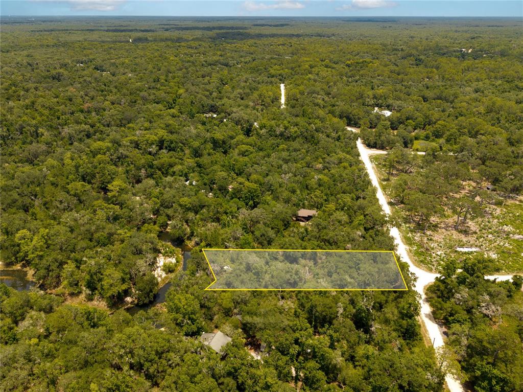 An aerial view shows a rectangular plot of land highlighted in a wooded area — 7333 RIVERVIEW DRIVE, WEBSTER, FL