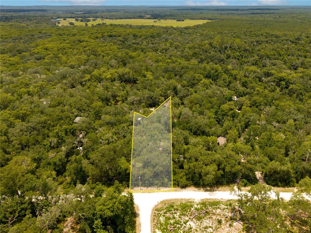 An aerial view shows a wooded lot highlighted with a yellow outline along a road — 7333 RIVERVIEW DRIVE, WEBSTER, FL