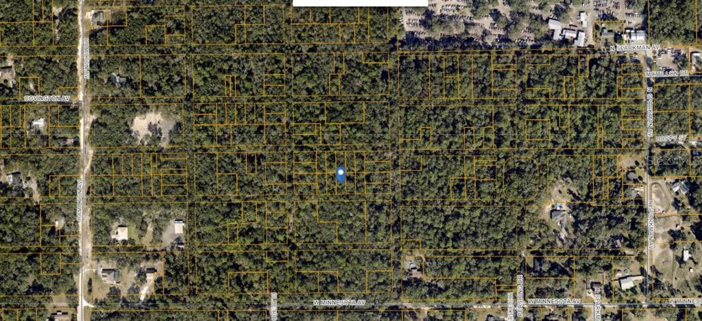 This is an aerial map showing a wooded, undeveloped lot marked with a blue pin — HAMILTON AVE, ORANGE CITY, FL